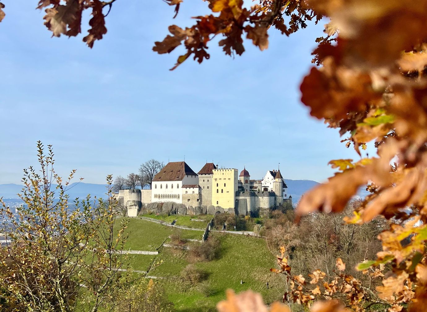 Blick vom Gofi auf das Schloss