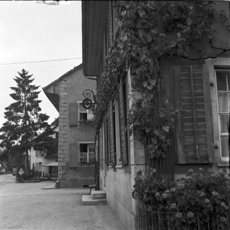 Meyer Nr. 112
Catelli Nr. 114