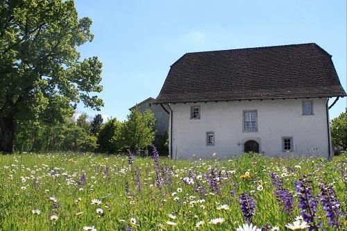 Alte Mühle