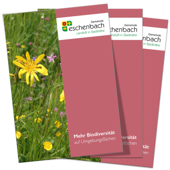 Broschüre: Mehr Biodiversität auf Umgebungsflächen