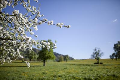Natur