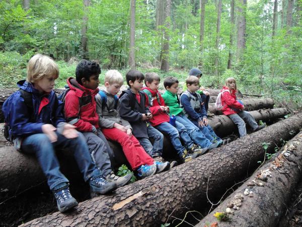 Kinder sitzen auf Baumstamm vor Auswahl an Pilzen.