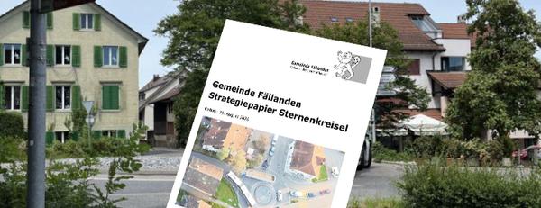 Strategiepapier Sternenkreisel