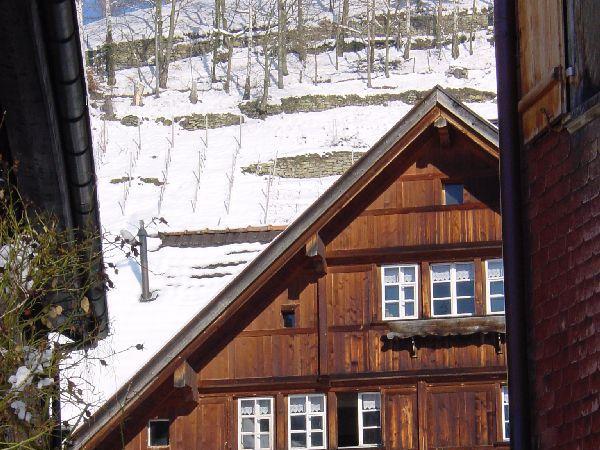 Wienacht-Tobel im Winter