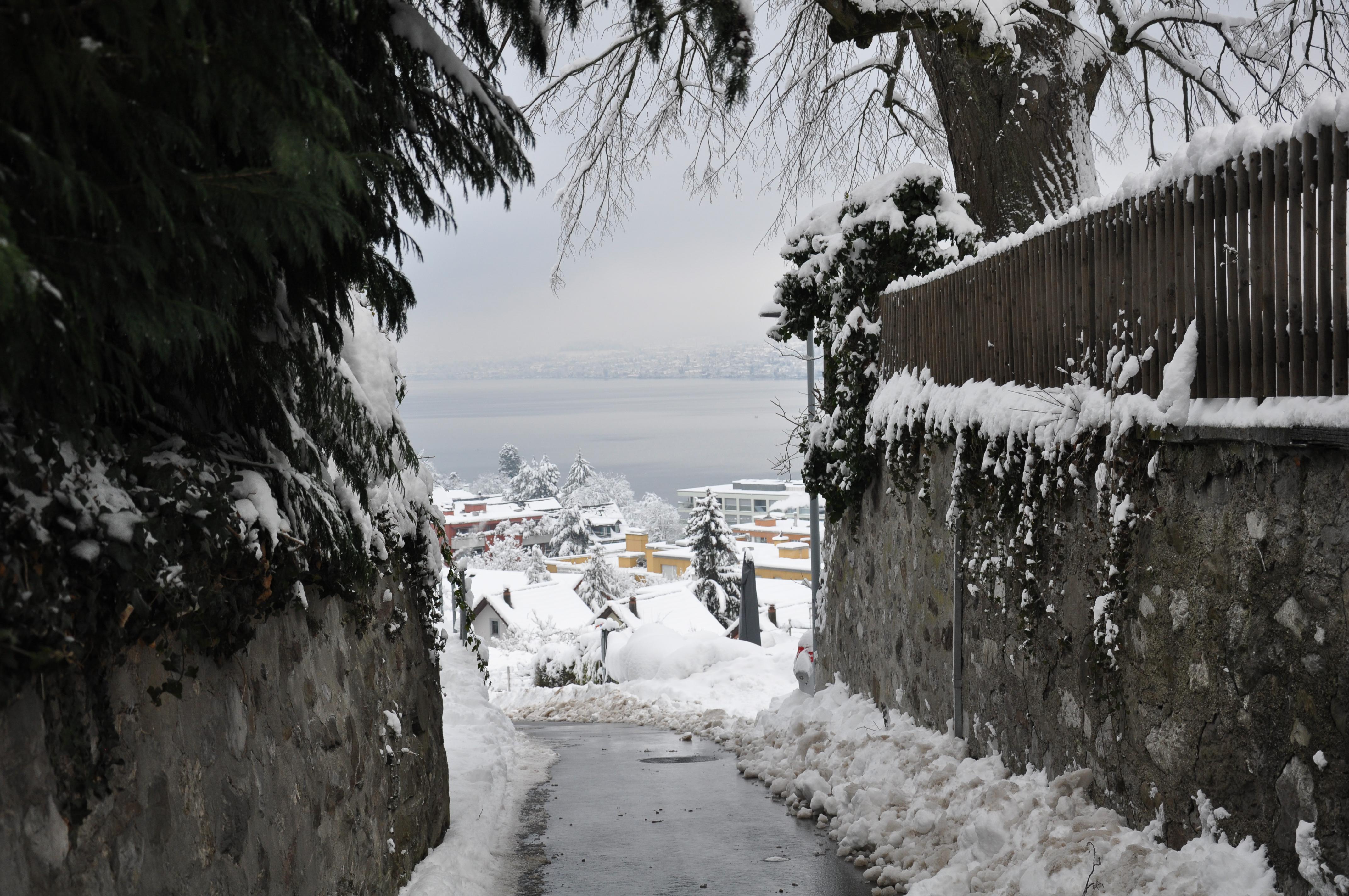 Thalwil im Winter 2021