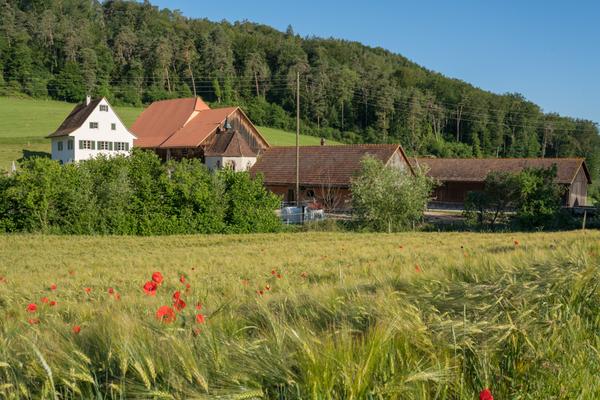Bild: Iglingen
