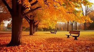 Herbst