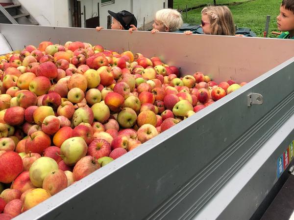 Vom Apfel bis zum Most