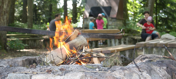 Grillstelle im Wald