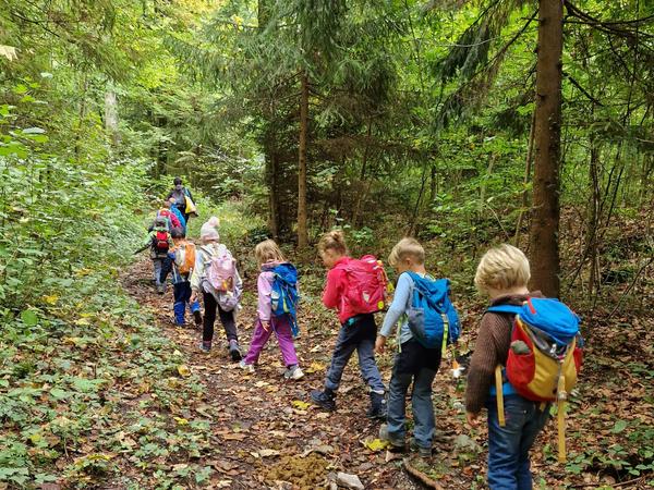 auf dem Weg zum Waldplatz