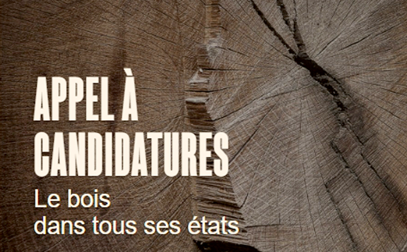 Appel à candidature - Festival Photos de Saint-Cergue