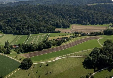 Luftansicht auf den Gofi, Wald im Wintergrund
