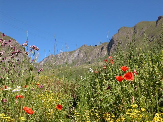 Im Hintergrund die Bergstation der Pendelbahn
