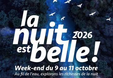 La nuit est belle