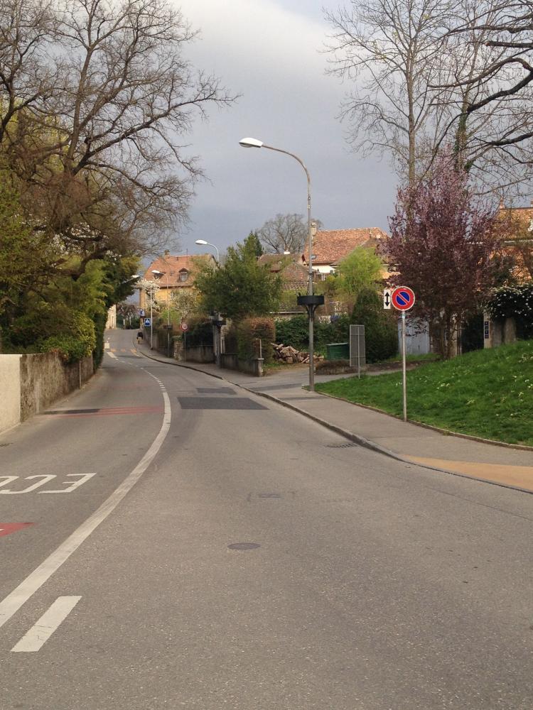 Route de Pregny