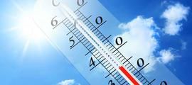 canicule