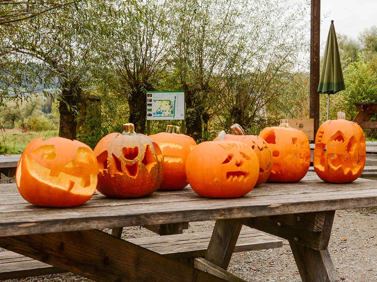 Herbsttage mit Kürbisschnitzen