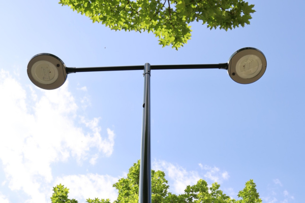 LED-Strassenlaterne zwischen Bäumen mit blauem Himmel im Hintergrund