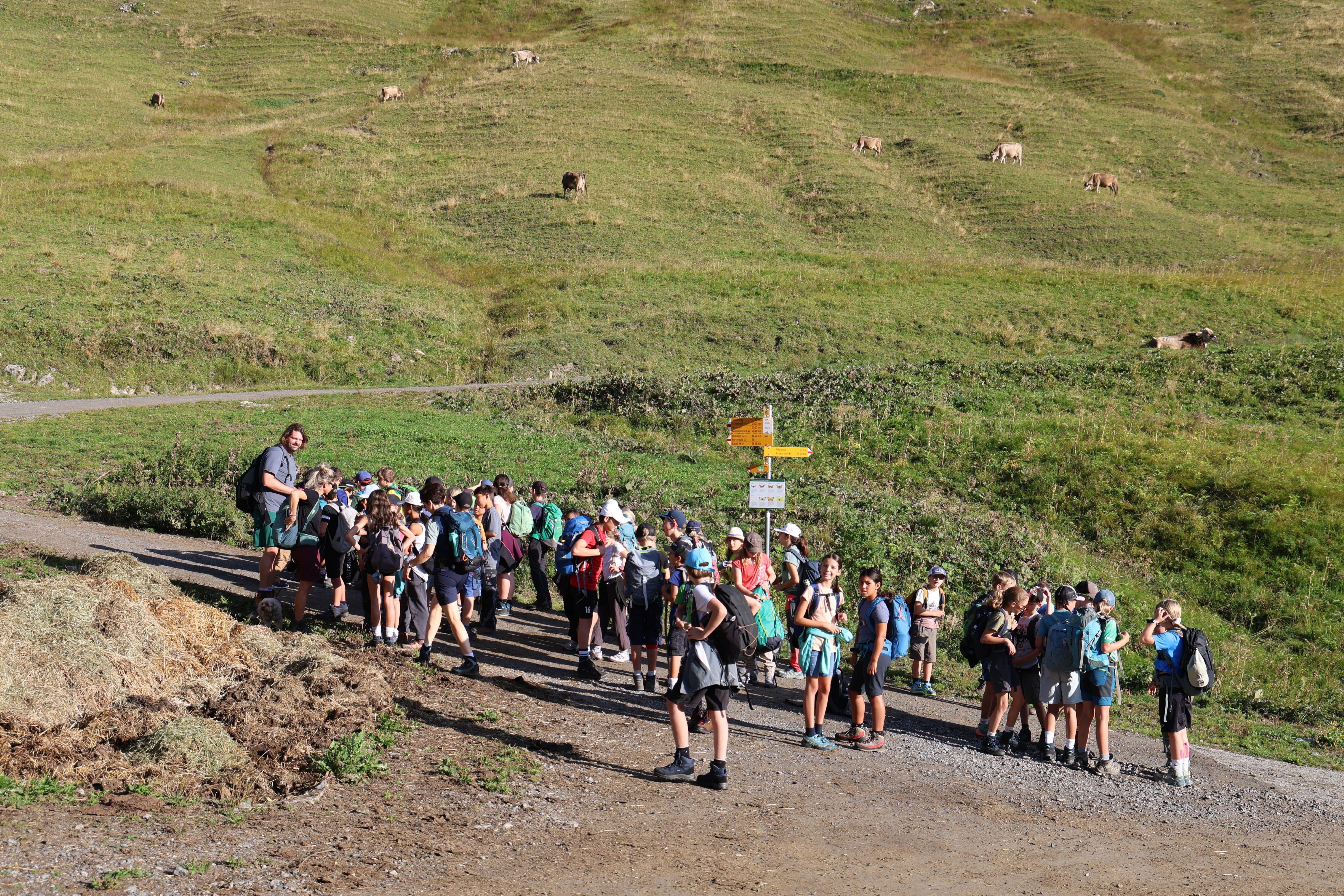 Herbstwanderung 2026 - Zyklus 2