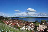 Twann, Anblick