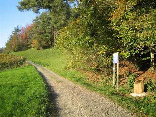 Vita Parcours 