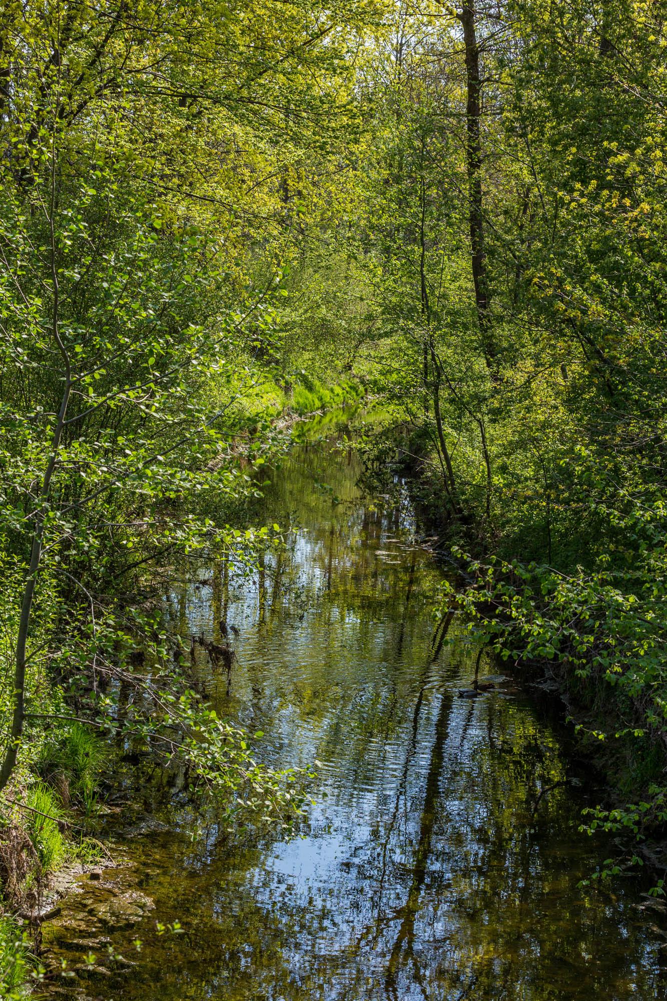 Natur und Landschaft