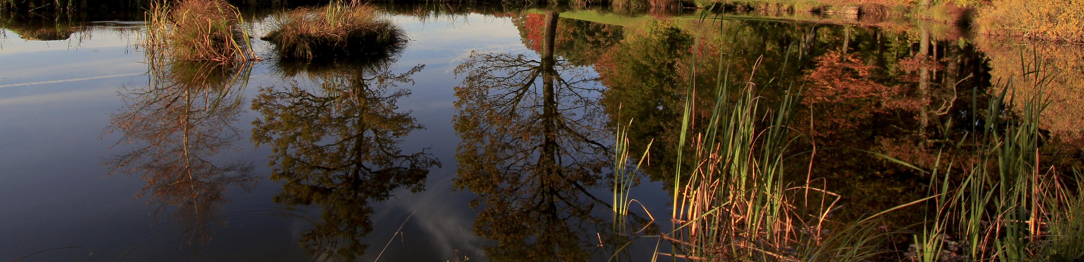 Dägerlen