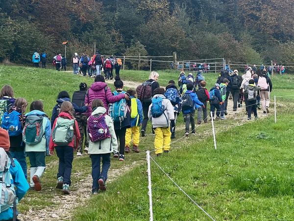 Kinder von hinten, wandern den Berg hoch