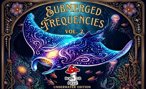 SUBMERGED FREQUENCIES Vol. 2 - BORN 2B FREE - Underwater