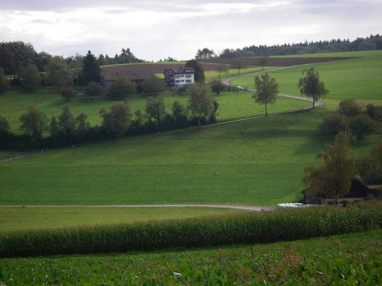 Sicht auf Althaus2