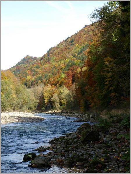 La Sarine bordée d'une végétation aux couleurs d'automne