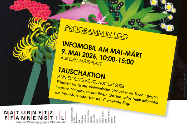 Plakat Fokuswochen