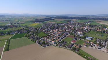 Koppigen