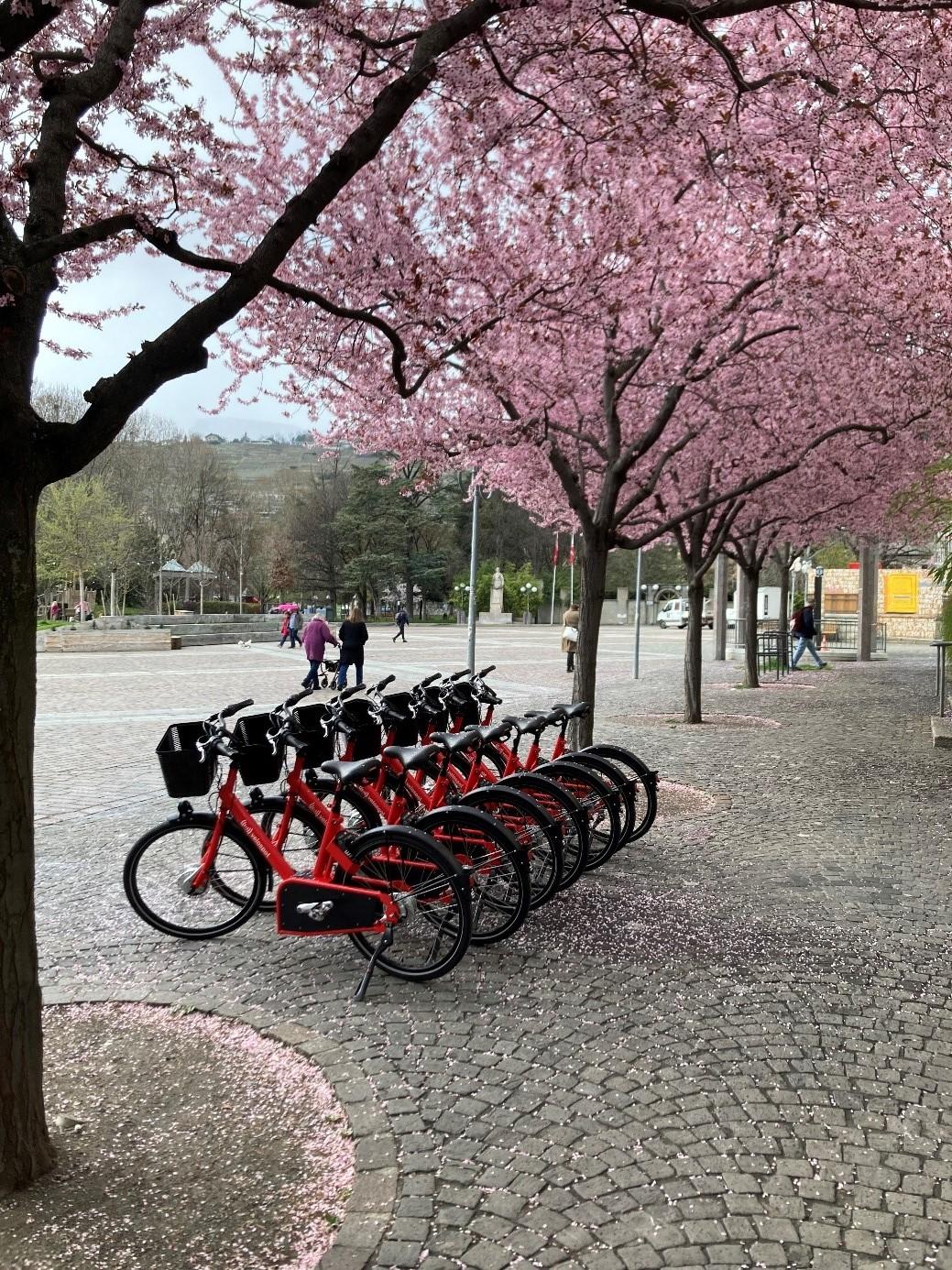 Passage de témoin pour les vélos en libre-service