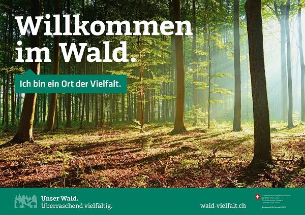Wald