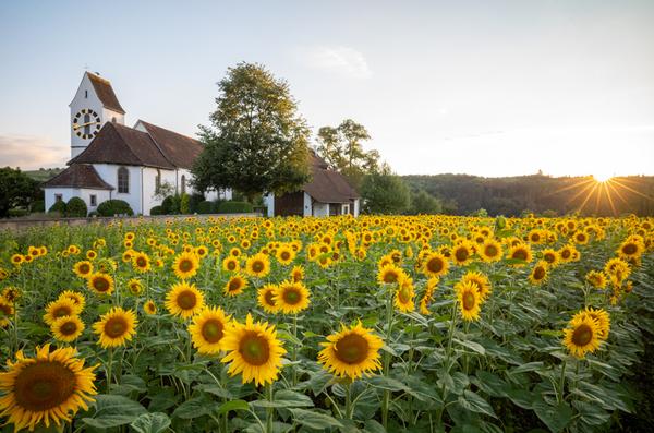 Bild: Christkatholische Kirche St. Martin