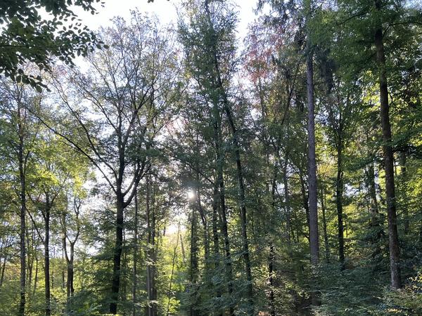 Auf der Wanderung