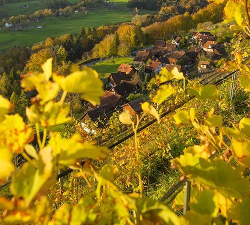 Herbst