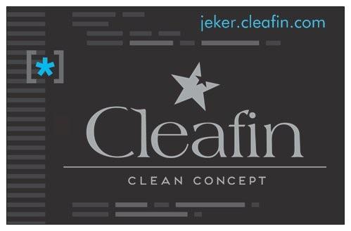 Logo Cleafin