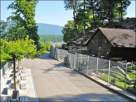 Der Wildpark Mühletäli