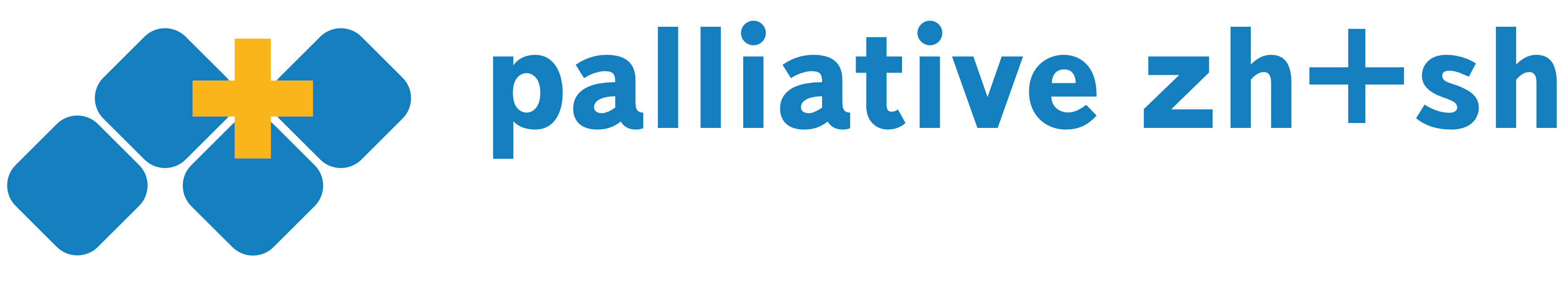 palliative zh+sh