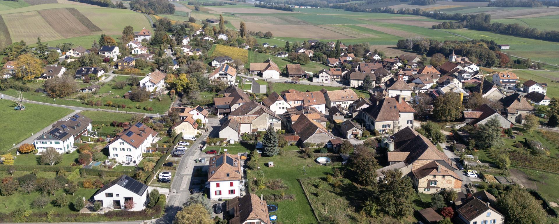 Actu 4