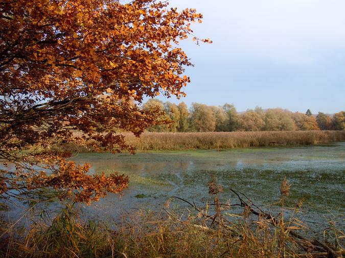 Naturschutzgebiet
