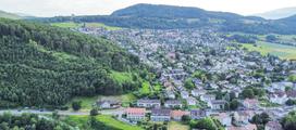 Wald Aesch