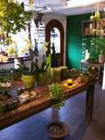 Bild Blumen Ambiance