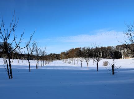 Metzerlen-Mariastein