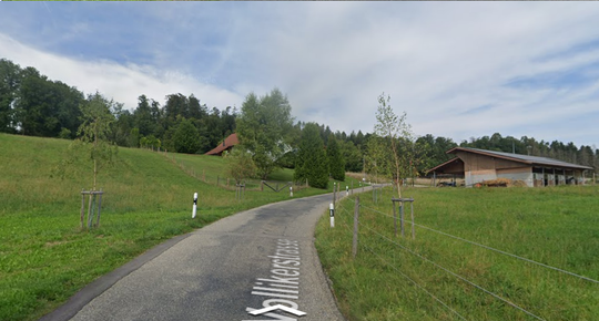 Vollikerstrasse 