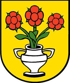 Fluri