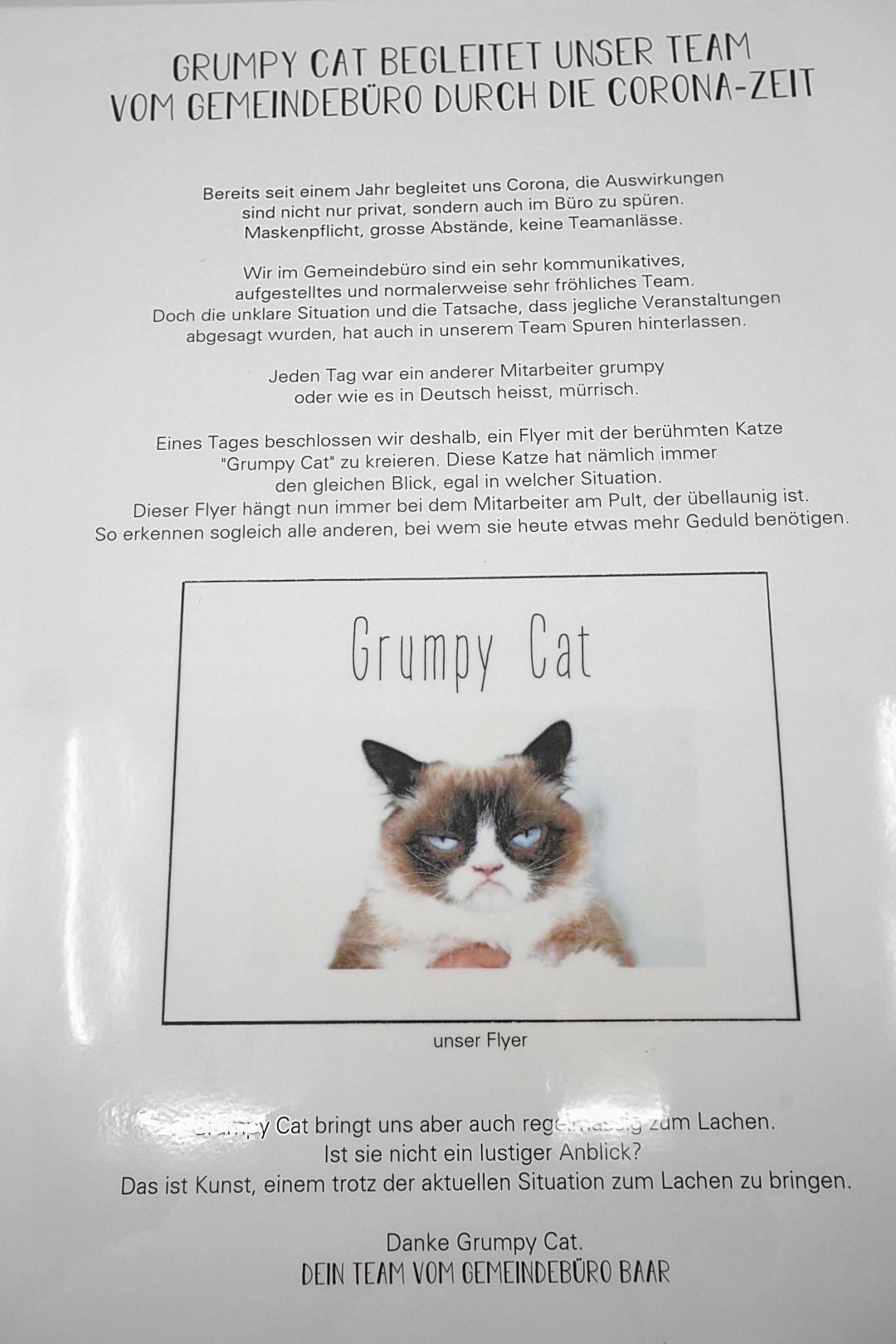 Werktitel: "Grumpy Cat"
Das Objekt bringt uns immer wieder zum Lachen. Jede*r Mitarbeiter*in des Gemeindebüros Baar hat eine eigene Definition von Kunst, jedoch bringt uns Grumpy Cat  auch in dieser schwierigen Situation  immer wieder zum Lachen: Das ist doch auch Kunst, oder?