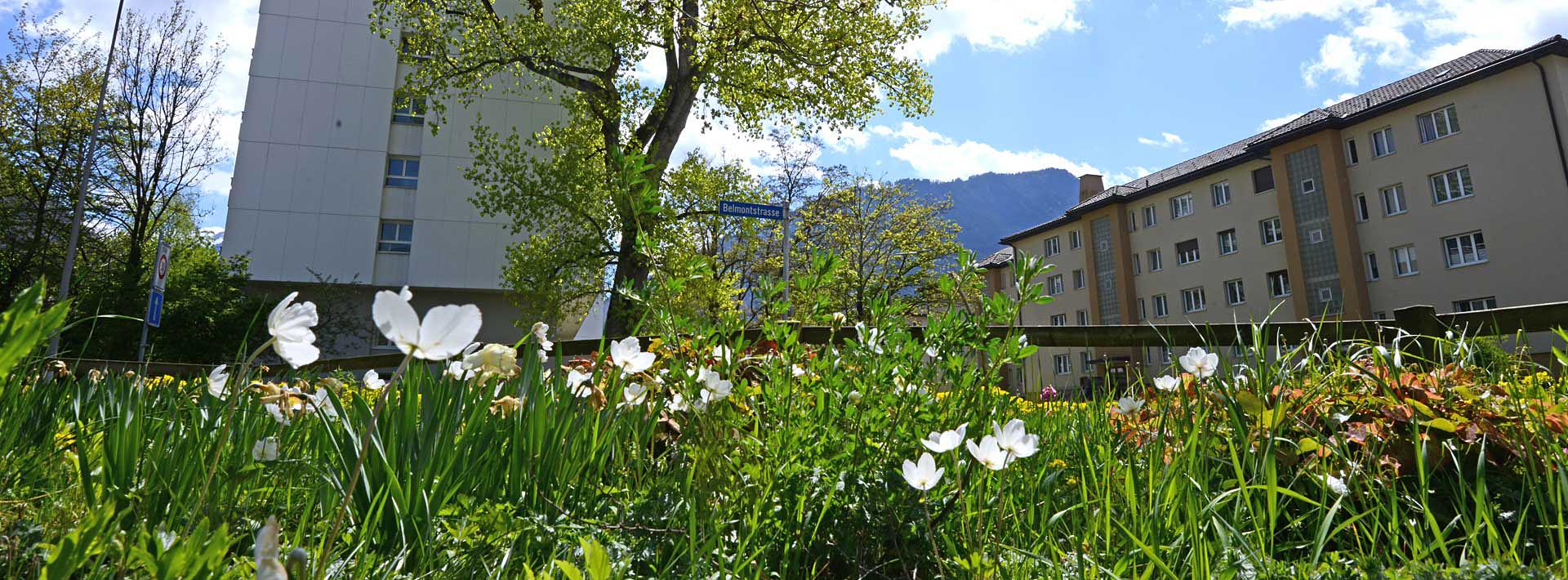 Chur Banner Foto